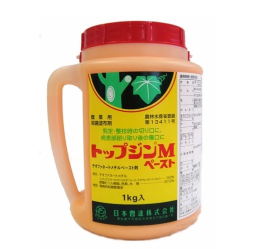 トップジンＭペースト