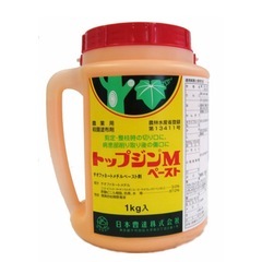 トップジンＭペースト
の画像