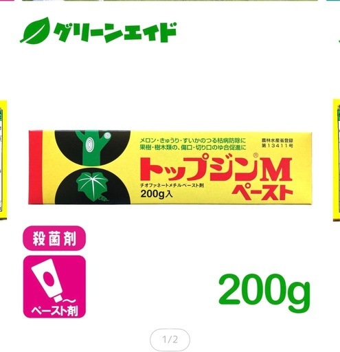 トップジンＭペースト