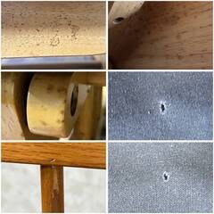 🔷🔶🔷ww3/25 ロッキングチェア 1人掛けソファー W61×D66×H94cm 1S ソファー リビング 家具 レトロ ミッドセンチュリー ★直接引取歓迎◎🔷🔶🔷の画像