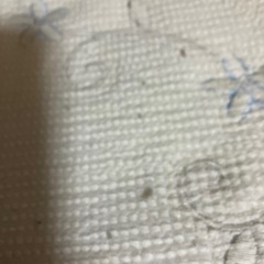 【引き取り限定】玄関マット差し上げますの画像