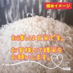 【数量限定】💮新米 『❤️恋の予感』🌾玄米 🍶東広島市産　#02の画像