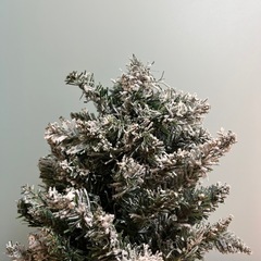 クリスマスツリー35センチの画像