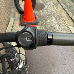 ルイガノ電動自転車 20インチの画像