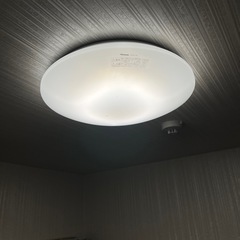 引き取り先、決まりました！の画像