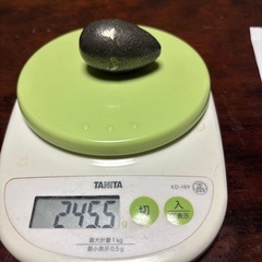 ザ,鉄玉子の画像