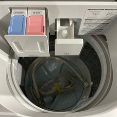 東芝 8kg 縦型 洗濯機 2024年製の画像