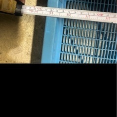 椎茸干し　の画像