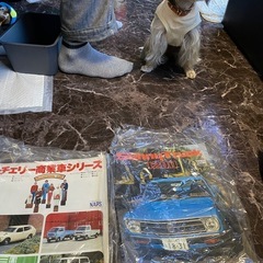 旧車　当時物　カタログ　車　バイクの画像