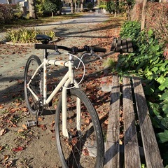 トリックピストFUJI bikes VENOM の画像