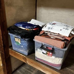 【11月23日限定】着物無料の画像