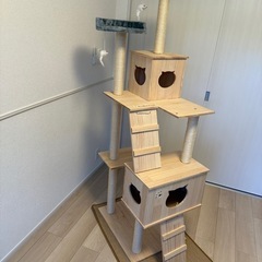 新品未開封 キャットタワー　の画像