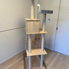 新品未開封 キャットタワー　の画像