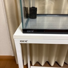GEX60センチ水槽の画像