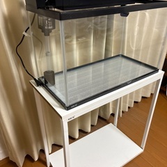 GEX60センチ水槽の画像
