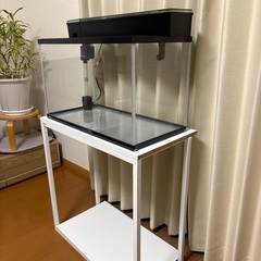 GEX60センチ水槽の画像