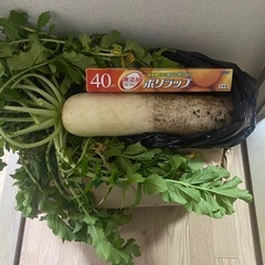 野菜セット　無農薬の画像