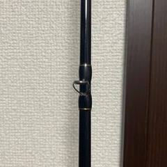 エバーグリーンの画像