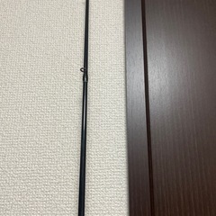 エバーグリーンの画像