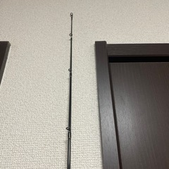 エバーグリーンの画像