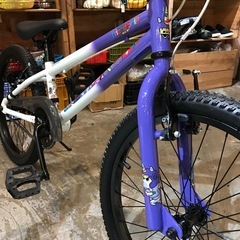 【新車】GT FRIENDSHIP 子供用BMX 20インチ　子ども車 ホワイト/パープル ジュニアBMXの画像