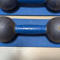 【無料】鉄アレイ（ダンベル） 4kg × 2個セットの画像
