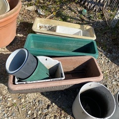 土曜日値下げどれでもひとつ100円！鉢　プランター300〜500円の画像