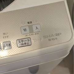 無料‼️SHARP洗濯機の画像