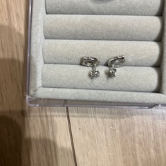 コーチ・ピアスの画像