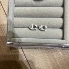 コーチ・ピアスの画像