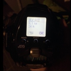 Daiwa SEABORG G300JL ほぼ新品の画像