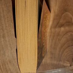 サラ・パレツキーの小説(英語)の画像