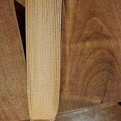 サラ・パレツキーの小説(英語)の画像