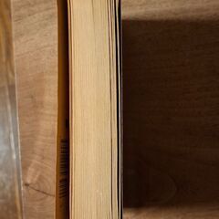 サラ・パレツキーの小説(英語)の画像