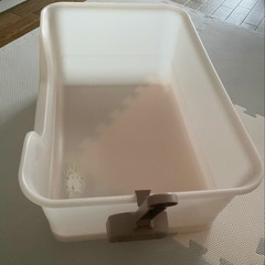 猫トイレの画像