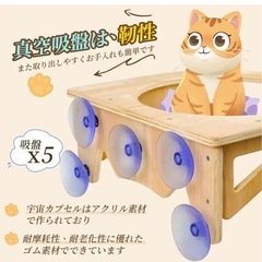 猫用ハンモックの画像