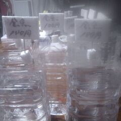 ボトル入りメダカ(5匹)ヌマエビ(20匹以上)金魚(3匹)ドジョウ(3匹)タナゴ(2匹)追加品出ししました。の画像