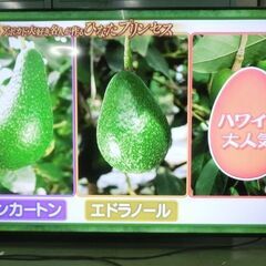 大画面６５インチ　2021年　４Ｋチューナー内蔵　オリオン　ＯＬ６５ＸＤ１００の画像