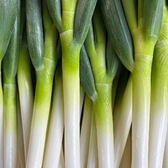農家直送　新鮮　採れたて　ねぎ　ネギ　 5本セットの画像