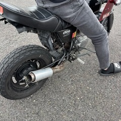 エイプ50の画像