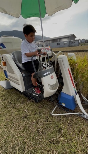 現在商談中 新米(最安値)令和7年度産ヒノヒカリ30kg