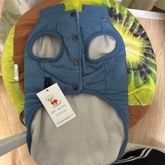 ジジ・ルシアン ZIZILECHI 背中開き撥水ダウン風ジャケット Lサイズの画像