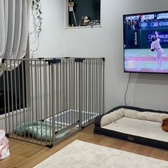 ペット用ケージ　ハイタイプの画像