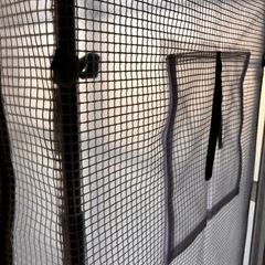 小型ビニールハウス　　　の画像