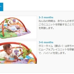 平日昼間　休日朝方受け渡し希望　プレイマットの画像