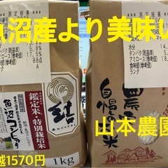 農家直売　令和7年産コシヒカリ　玄米30kgの画像