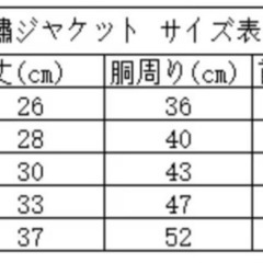 ジジ・ルシアン ZIZILECHI 背中開き撥水ダウン風ジャケット Lサイズの画像