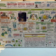 プーメリー 2025年版の画像