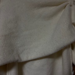 冬物 レディース の画像