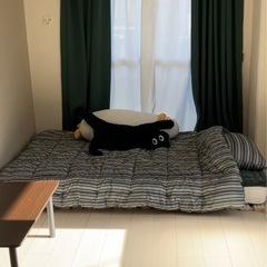 オドゥンイ抱き枕の画像